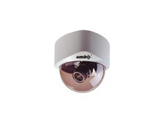 B/W Dome CCD Camera图1