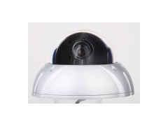 Vandal-proof Cameras图1