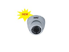 Vandalproof Dome Camera图1
