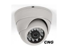 Dome Infrared Camera图1