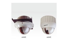 Color Dome CCD Camera图1