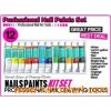 12-COLOR NAIL ART ACRYLIC PAINT