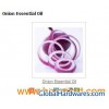 Onion Essential Oil-2
