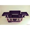 Professional cosmetic box large cosmetic bag luggage