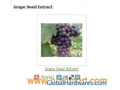 Grape Seed Extract图1