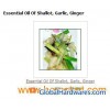 Essential Oil Of Shallot, Garlic, Ginger