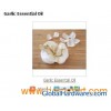 Garlic Essential Oil