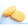 Cellulose Sponge with Skin Oval ( Model Number : Oval )