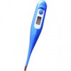 Rigid Thermometer