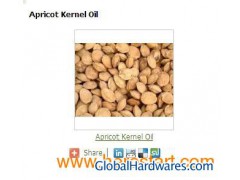 Apricot Kernel Oil图1