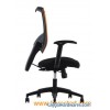 Office Furniture / Hotel Office Chair / Soft Chair (ZM-77BH)