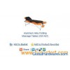 Aluminum Alloy Folding Massage Tables (GW-A01)
