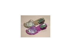 ladies' slipper图1