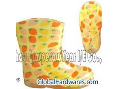 rainboot图1