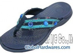 Lady's slippers图1