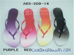 Lady slipper图1