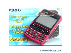 QIPA P306图1