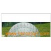Exciting Zorb Ball (FLS)