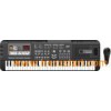 Learning Electronic Keyboard (6102)
