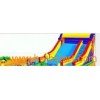 Inflatable Amusement Park/Infltable Slide (CY-03)