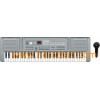 61 Keyboards Toy Organ (6105)