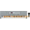 61 Keyboards Toy Organ (6105)