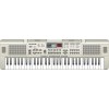 61 Keys Musical Electronic Organ (812USB)