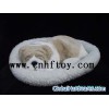 Sell sleeping dog ,cat