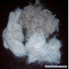 Wool Waste