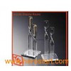 Acrylic Jewelry Display (AN-AD011)