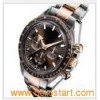 Luxury Stainless Steel Watch (GD002)