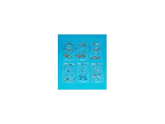 ACCOUTERMENT-HF329012(2)图1