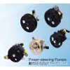 Power-steering Pumps