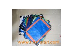 PE Tarpaulin (70-240G)图1