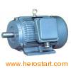 Three Phase Motor Y Series