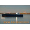 Cargo Vessel (DWT55000) Bulk Carrrier (SX001)