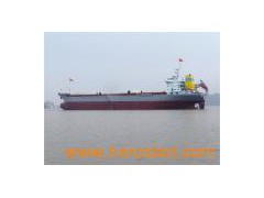 19800DWT Caogo Ship图1