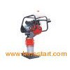 Tamping Rammer (TWTR801Q)