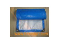 160GSM Blue/White PE Tarpaulin图1