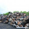 Used Truck Parts