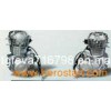 250CC Motorcycle Engine (JL166FMM 098)