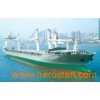 Cargo Ship (DWT19800) Cargo Vessel/Bulk Carrier (SXC018)