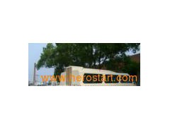 Water Taxi (HA780)图1