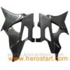 Carbon Motorcycle Parts (for BMW S1000RR)