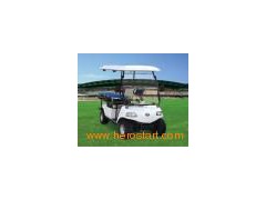 Express Amulance Cart (DEL3022GT, 2-Seater)图1