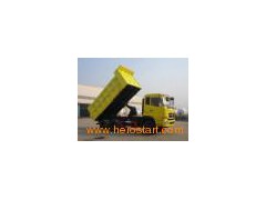 Tipper Truck (ZJV3310RJ42)图1