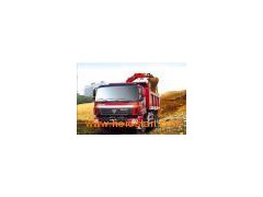 Tipper Truck (Foton)图1