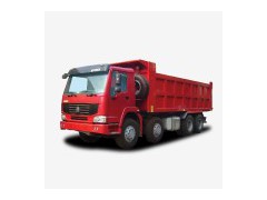 Sinoway Dump Truck (SWDT3317ZN)图1
