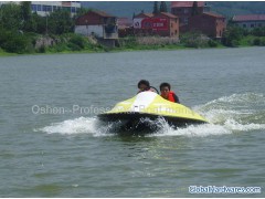 9feet (2.6m) mono hull speed boat图1