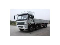 Lorry Truck 8x4图1